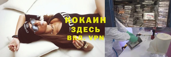 спиды Алзамай