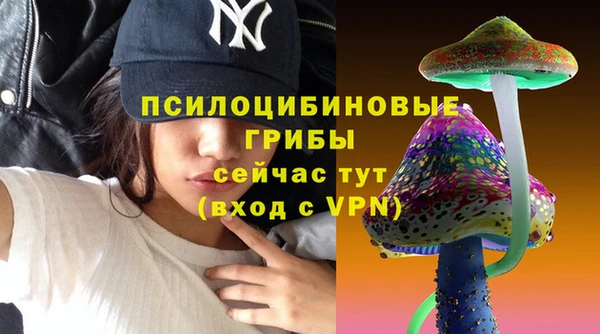 mix Алексин
