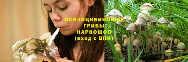 спиды Алзамай