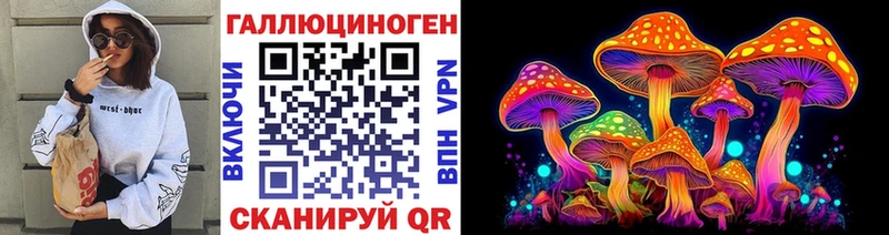 где найти Апшеронск Галлюциногенные грибы MAGIC MUSHROOMS