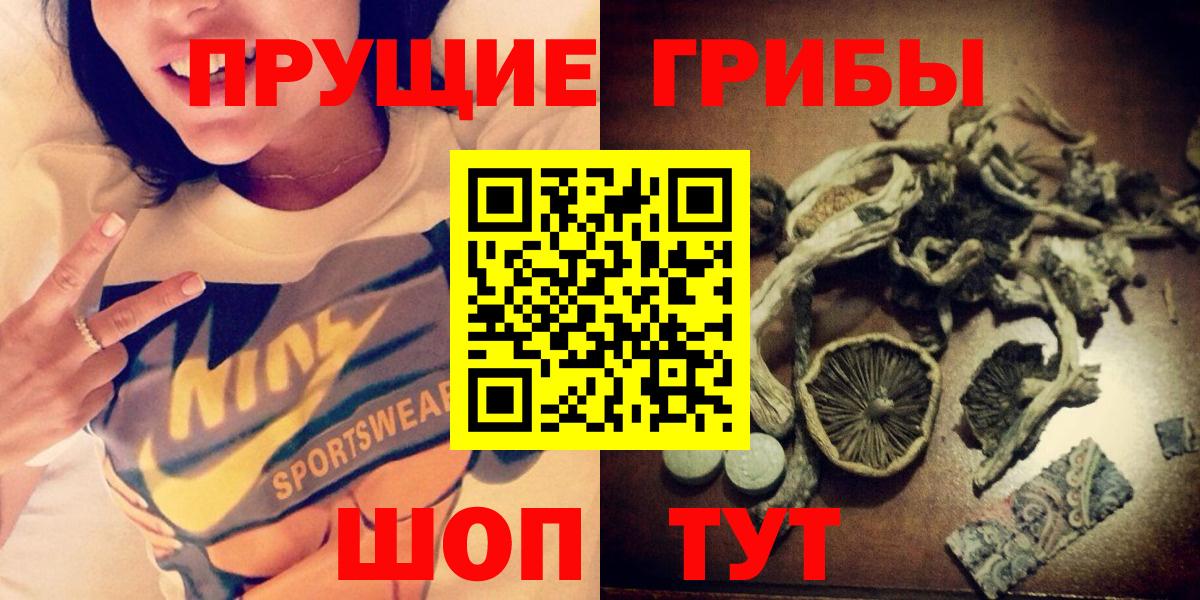 Галлюциногенные грибы прущие грибы  как найти закладки  Апшеронск  Вход с VPN  Галлюциногенные грибы Psilocybe 